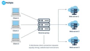 Forward vs reverse proxy